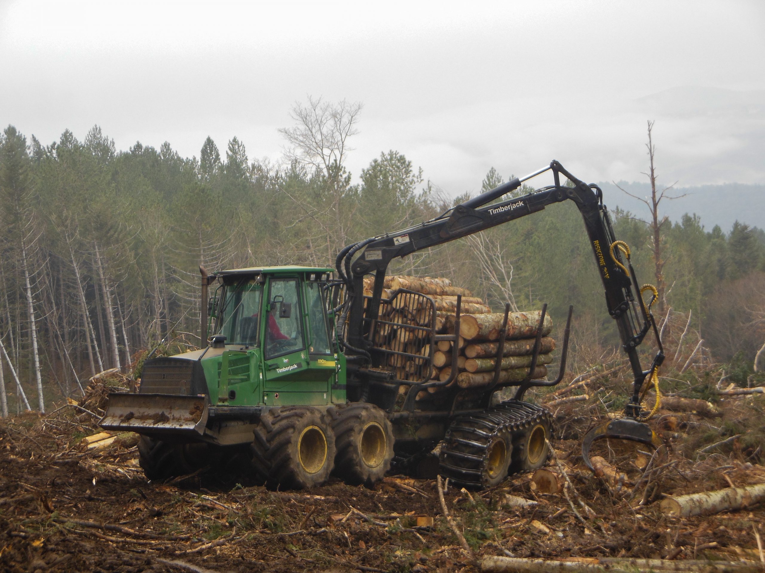 studio-arbotek-dottore-forestale-arboricoltore.autorizzazione-taglio